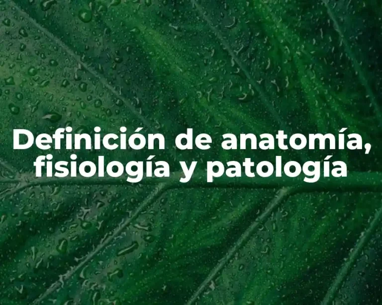 Definición de anatomía, fisiología y patología