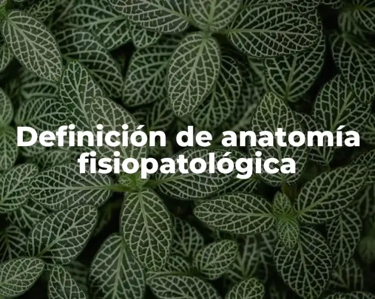 Definición de anatomía fisiopatológica