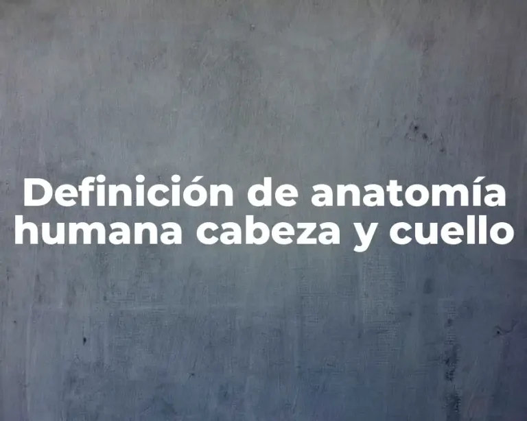 Definición de anatomía humana cabeza y cuello