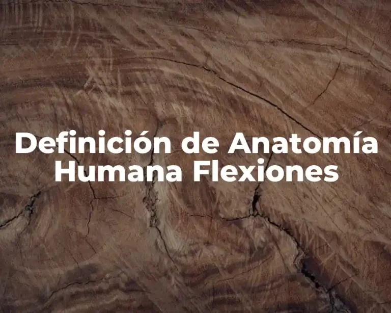 Definición de Anatomía Humana Flexiones