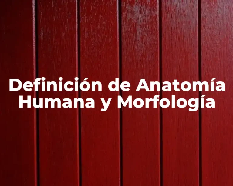 Definición de Anatomía Humana y Morfología