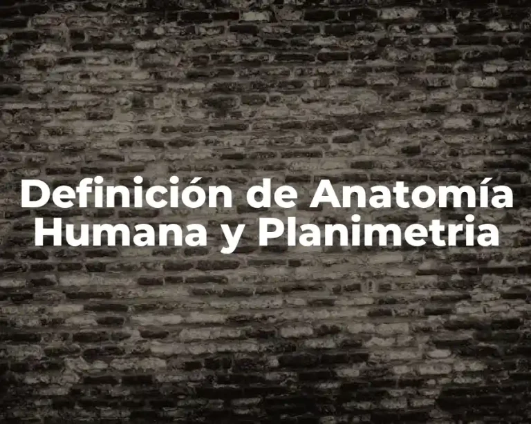 Definición de Anatomía Humana y Planimetria