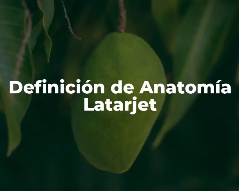 Definición de Anatomía Latarjet