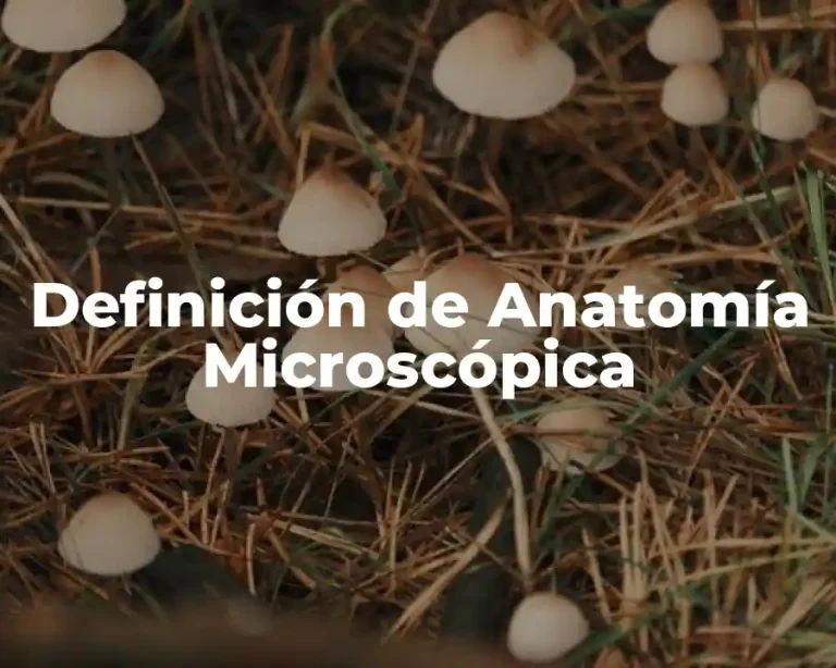 Definición de Anatomía Microscópica