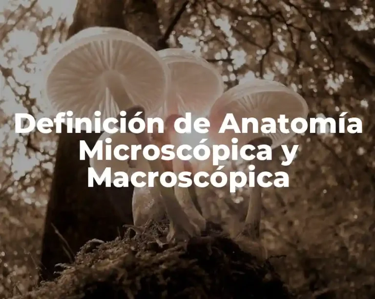 Definición de Anatomía Microscópica y Macroscópica