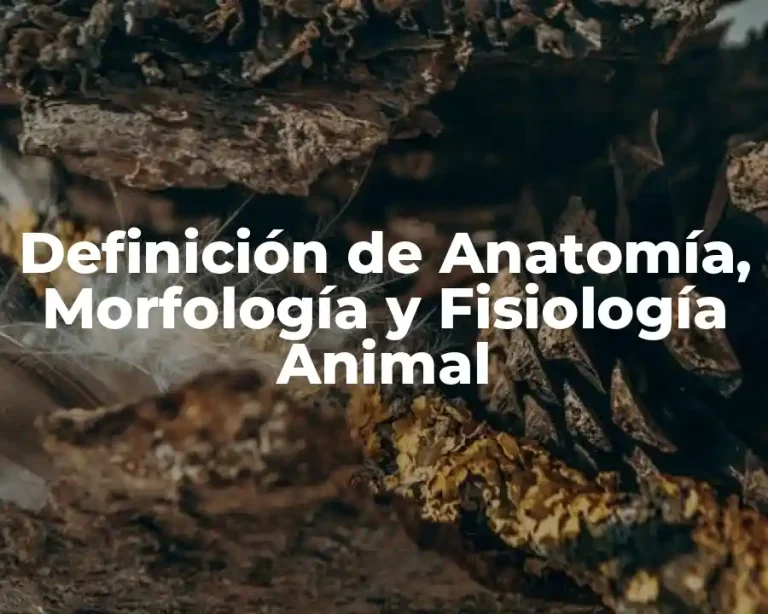 Definición de Anatomía, Morfología y Fisiología Animal
