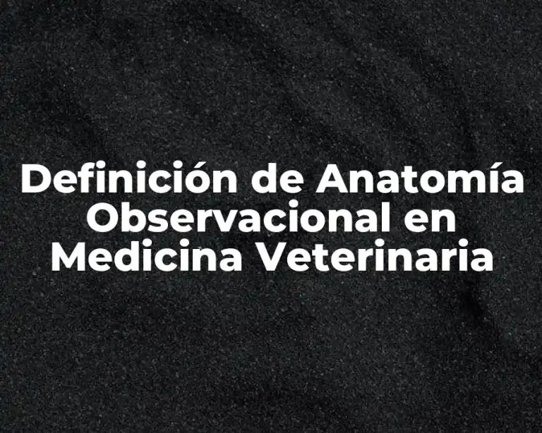 Definición de Anatomía Observacional en Medicina Veterinaria