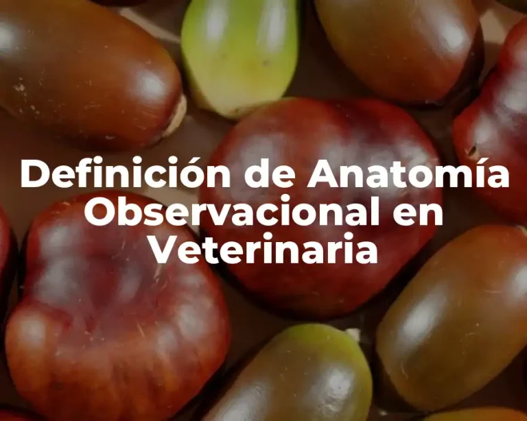 Definición de Anatomía Observacional en Veterinaria
