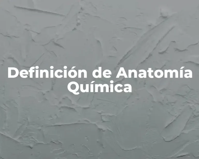 Definición de Anatomía Química