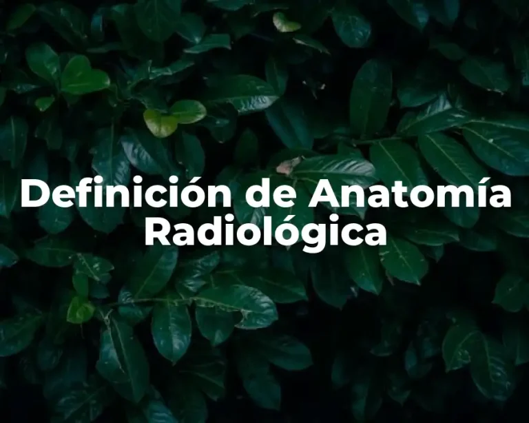 Definición de Anatomía Radiológica