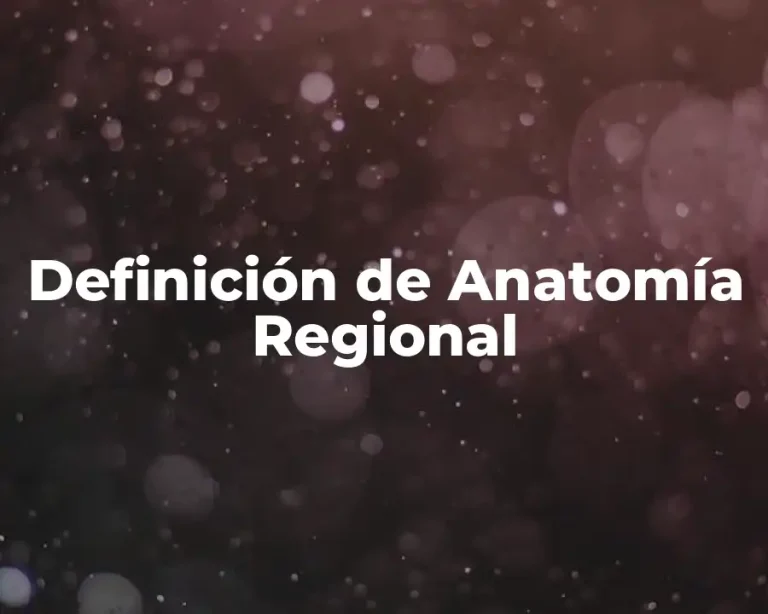 Definición de Anatomía Regional