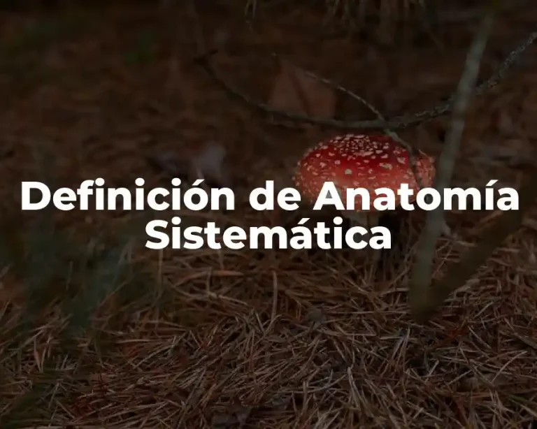 Definición de Anatomía Sistemática