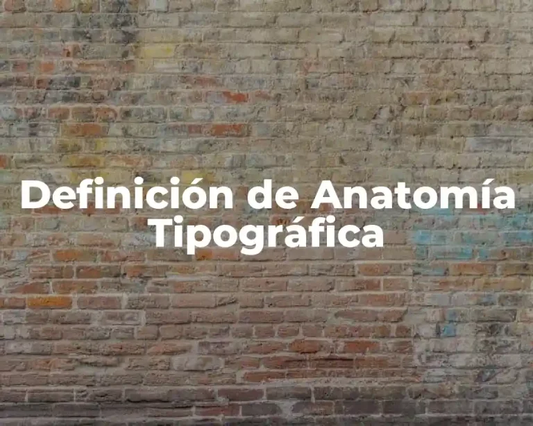 Definición de Anatomía Tipográfica