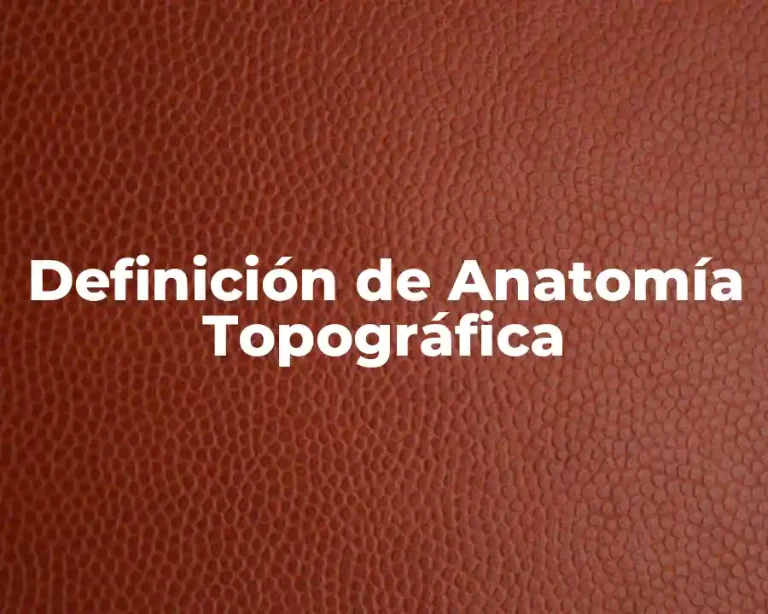 Definición de Anatomía Topográfica