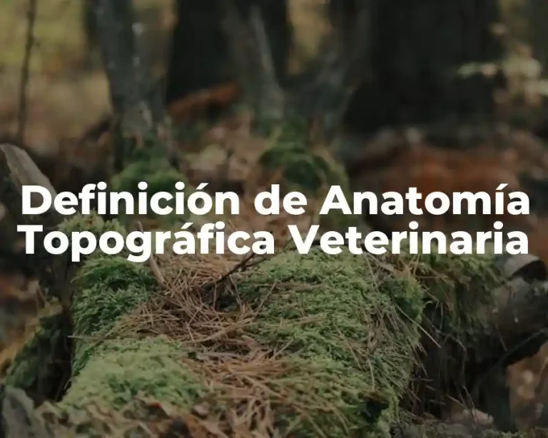 Definición de Anatomía Topográfica Veterinaria