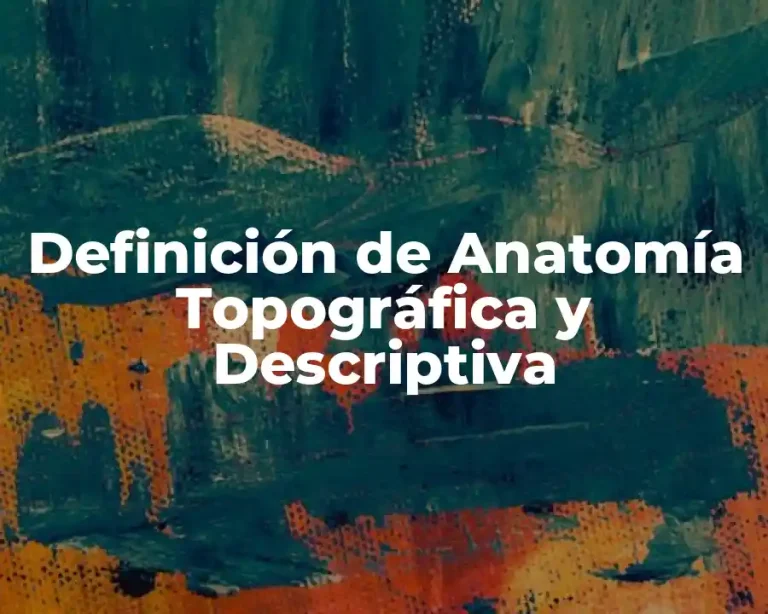 Definición de Anatomía Topográfica y Descriptiva