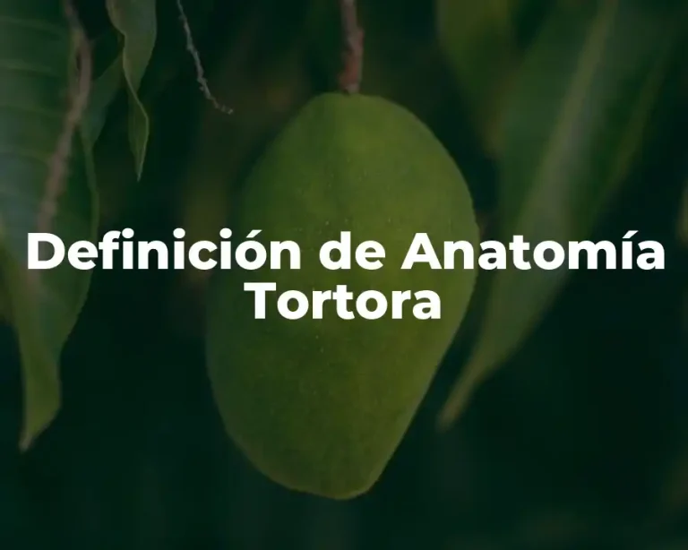 Definición de Anatomía Tortora