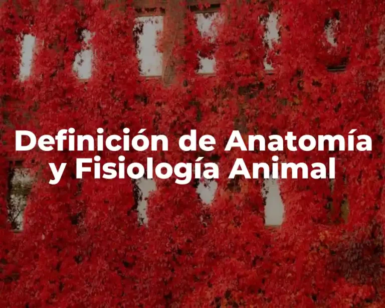Definición de Anatomía y Fisiología Animal