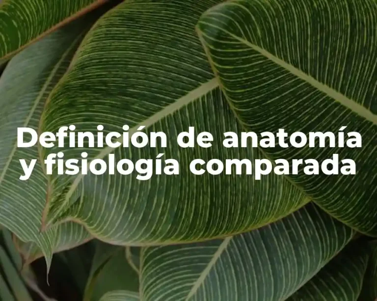 Definición de anatomía y fisiología comparada