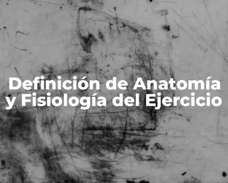Definición de Anatomía y Fisiología del Ejercicio
