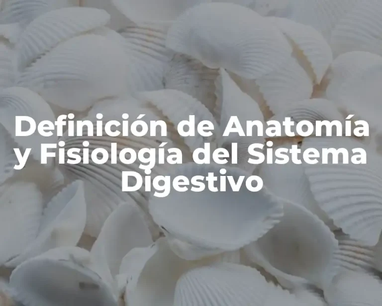 Definición de Anatomía y Fisiología del Sistema Digestivo