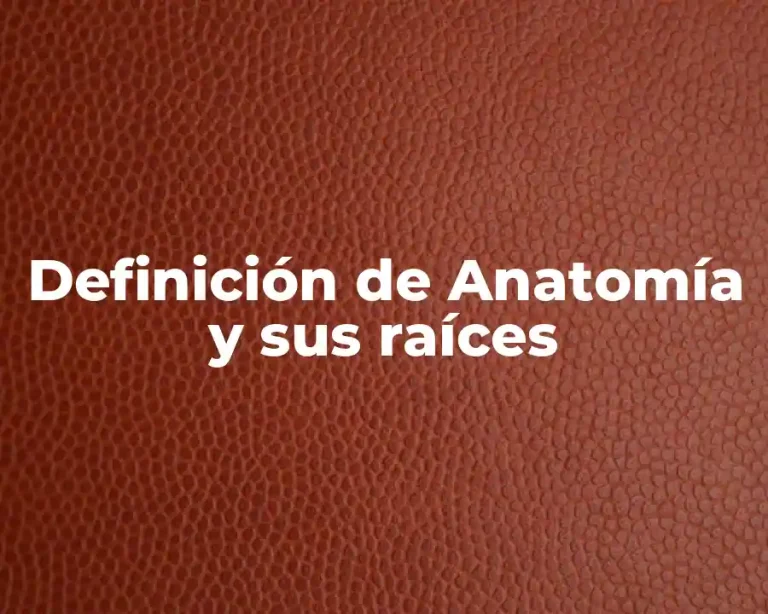 Definición de Anatomía y sus raíces