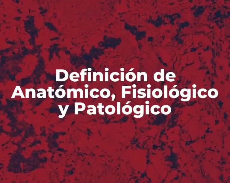 Definición de Anatómico, Fisiológico y Patológico