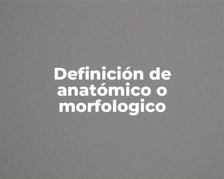 Definición de anatómico o morfologico