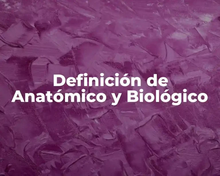 Definición de Anatómico y Biológico