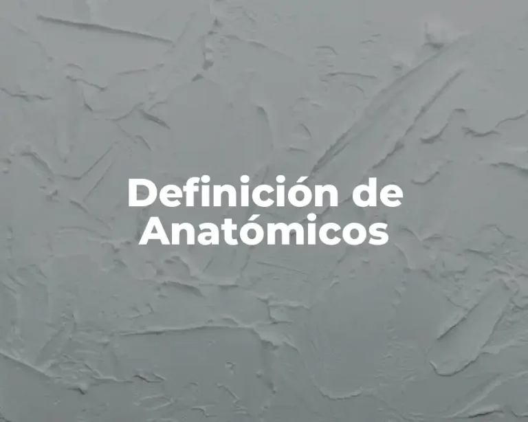 Definición de Anatómicos