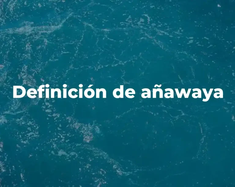 Definición de añawaya