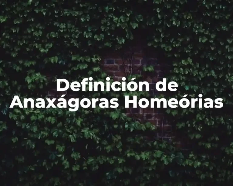 Definición de Anaxágoras Homeórias