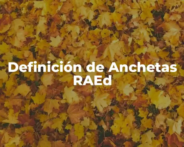 Definición de Anchetas RAEd