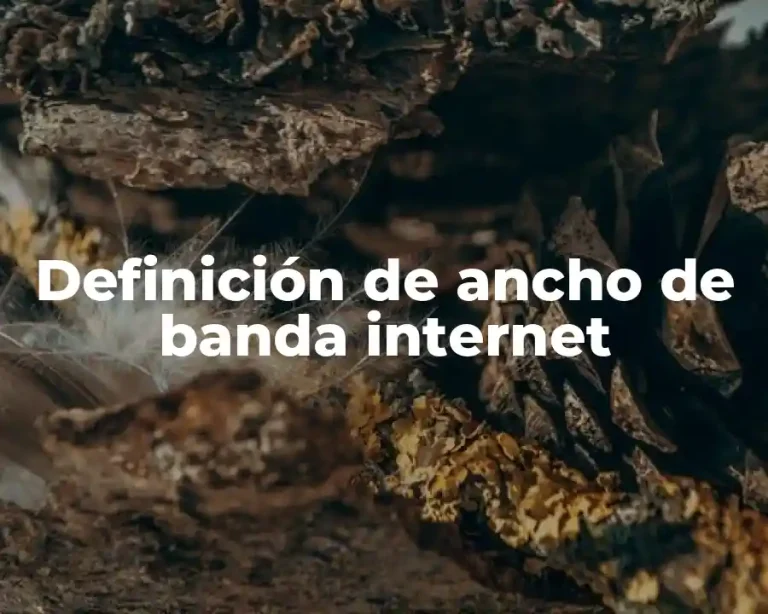Definición de ancho de banda internet