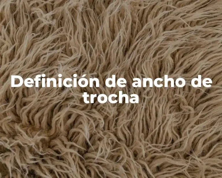 Definición de ancho de trocha