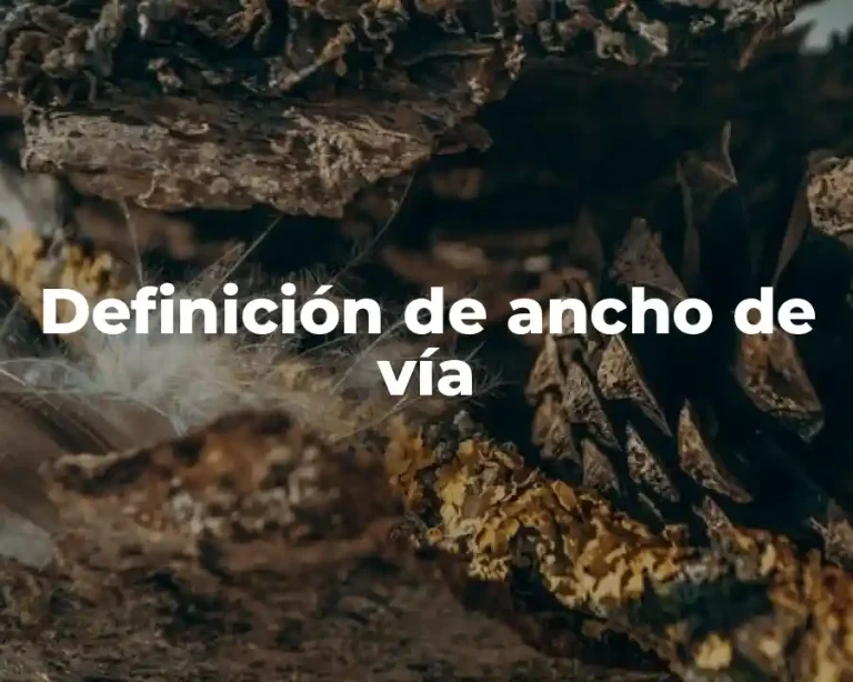 Definición de ancho de vía