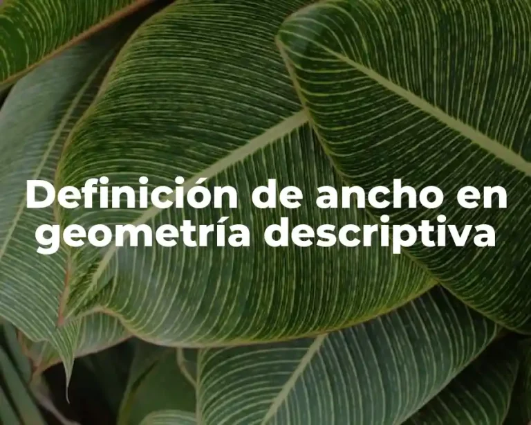Definición de ancho en geometría descriptiva