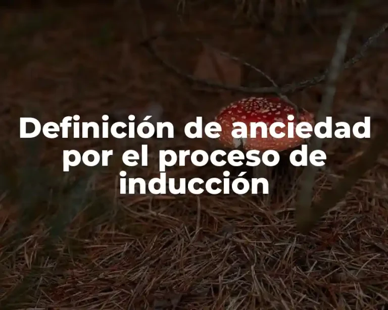 Definición de anciedad por el proceso de inducción