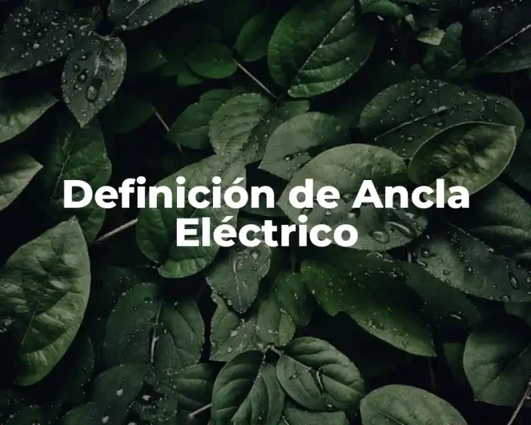 Definición de Ancla Eléctrico