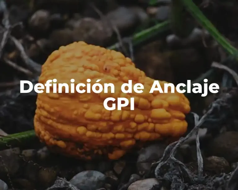 Definición de Anclaje GPI