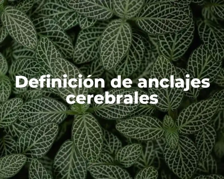 Definición de anclajes cerebrales