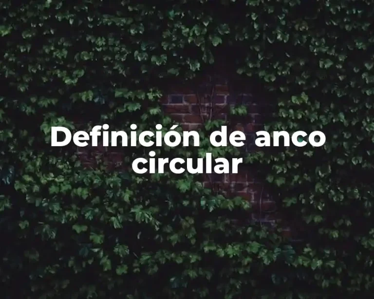 Definición de anco circular