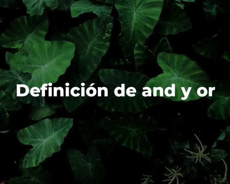 Definición de and y or