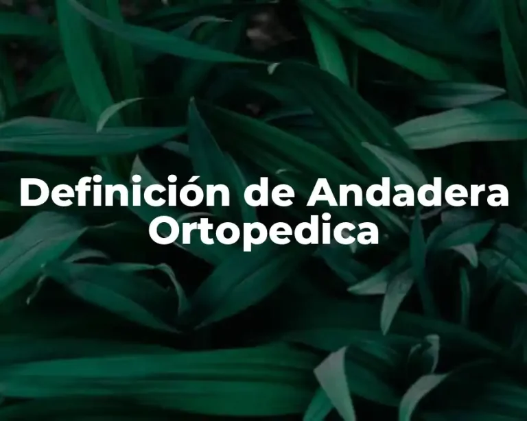 Definición de Andadera Ortopedica