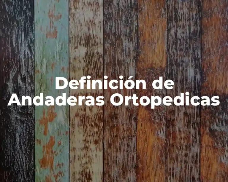 Definición de Andaderas Ortopedicas
