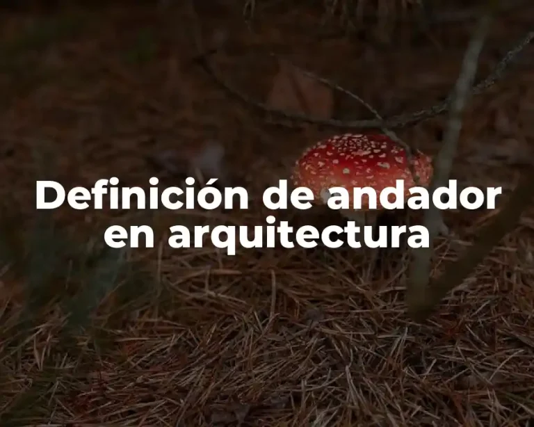 Definición de andador en arquitectura