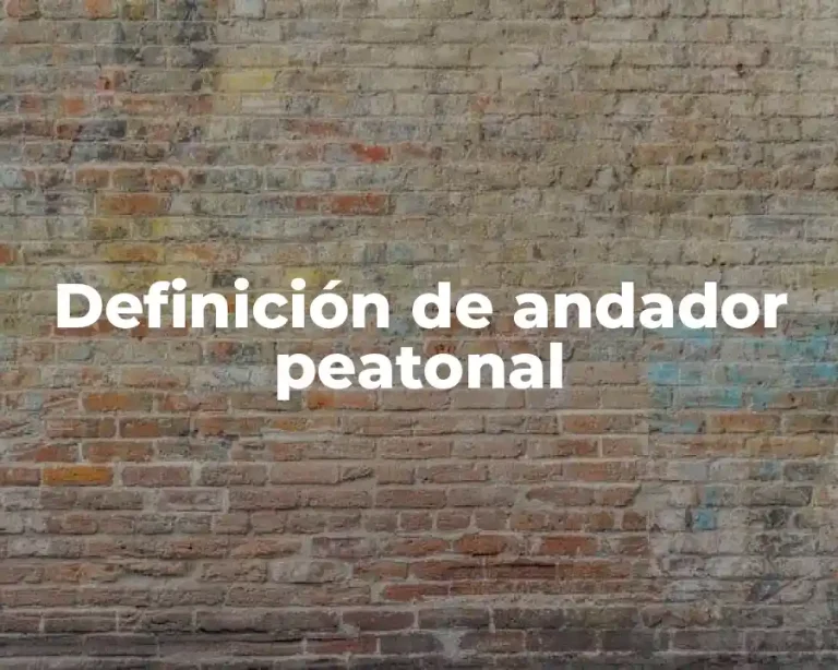 Definición de andador peatonal