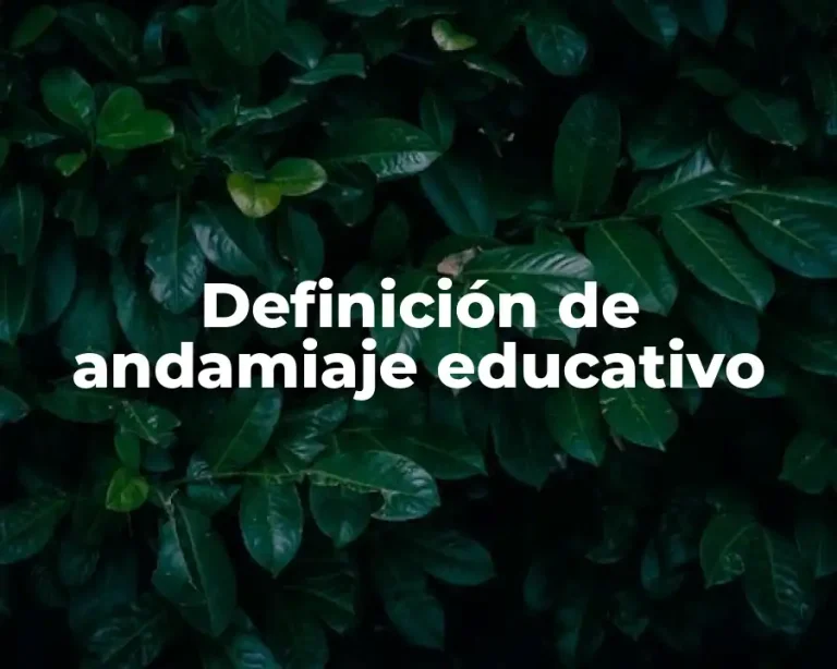 Definición de andamiaje educativo