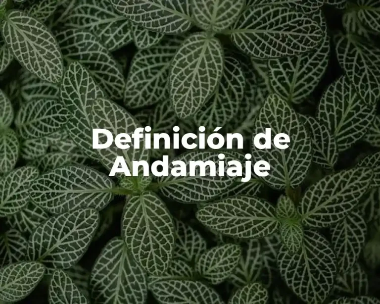 Definición de Andamiaje