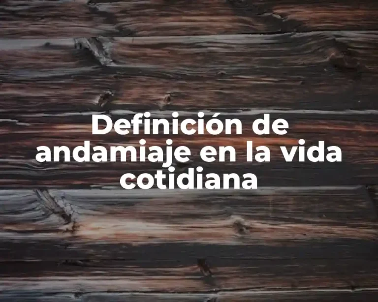 Definición de andamiaje en la vida cotidiana
